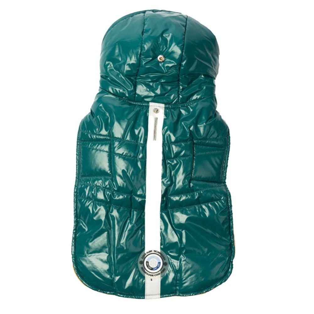 Small Dog winter jacket with hood